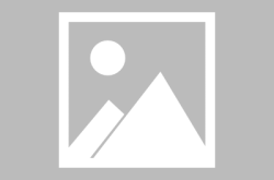 网红画风腿,揭秘时尚界的新宠——美腿养成记