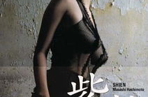 紫艳写真,光影交织下的梦幻世界